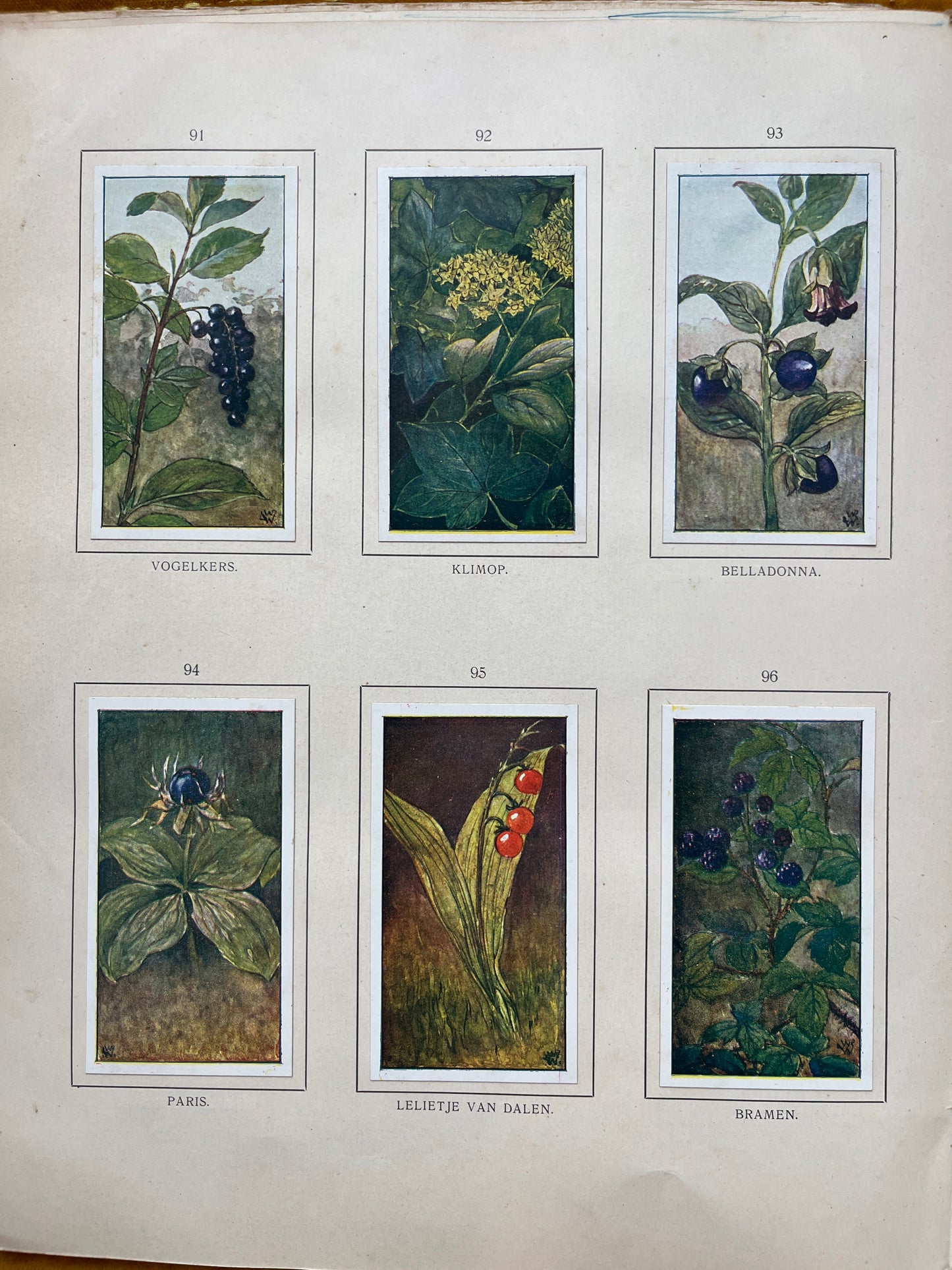 Losse Verkade plaatjes Herfst (1908) 91-96