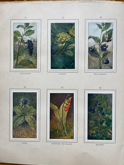 Losse Verkade plaatjes Herfst (1908) 91-96