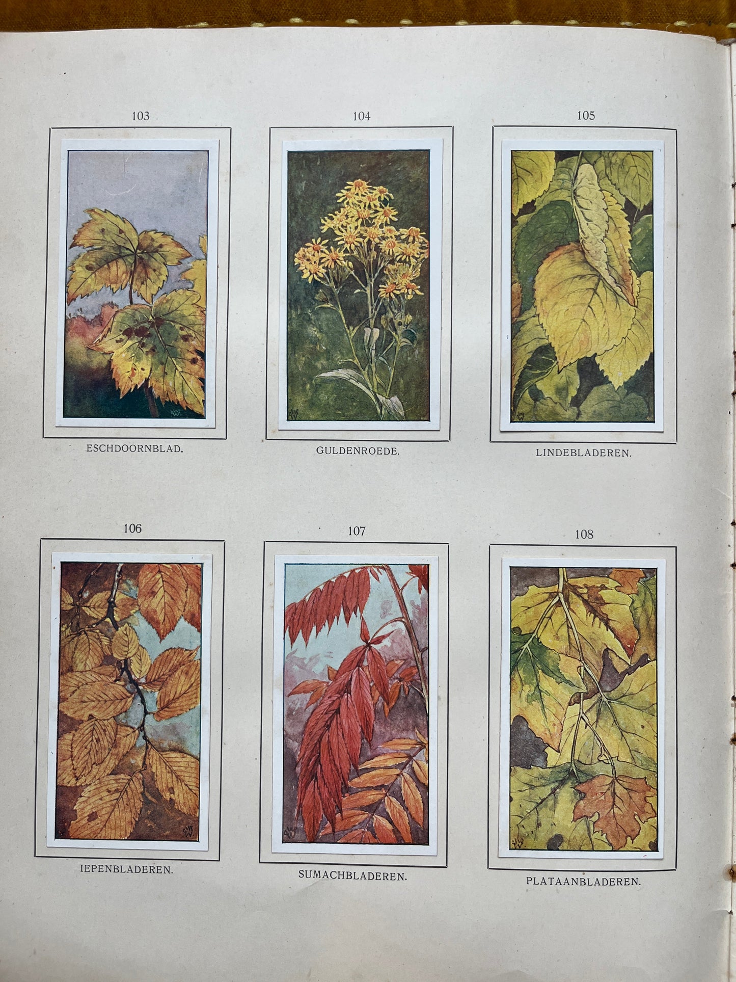 Loose Verkade pictures Autumn (1908) 103-108