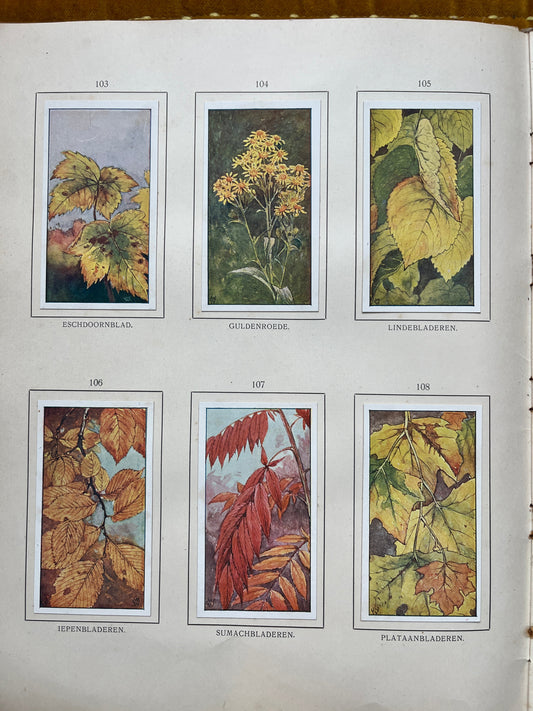 Losse Verkade plaatjes Herfst (1908) 103-108