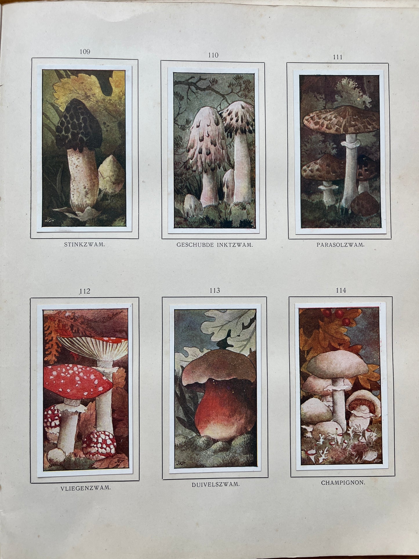 Losse Verkade plaatjes Herfst (1908) 109-114