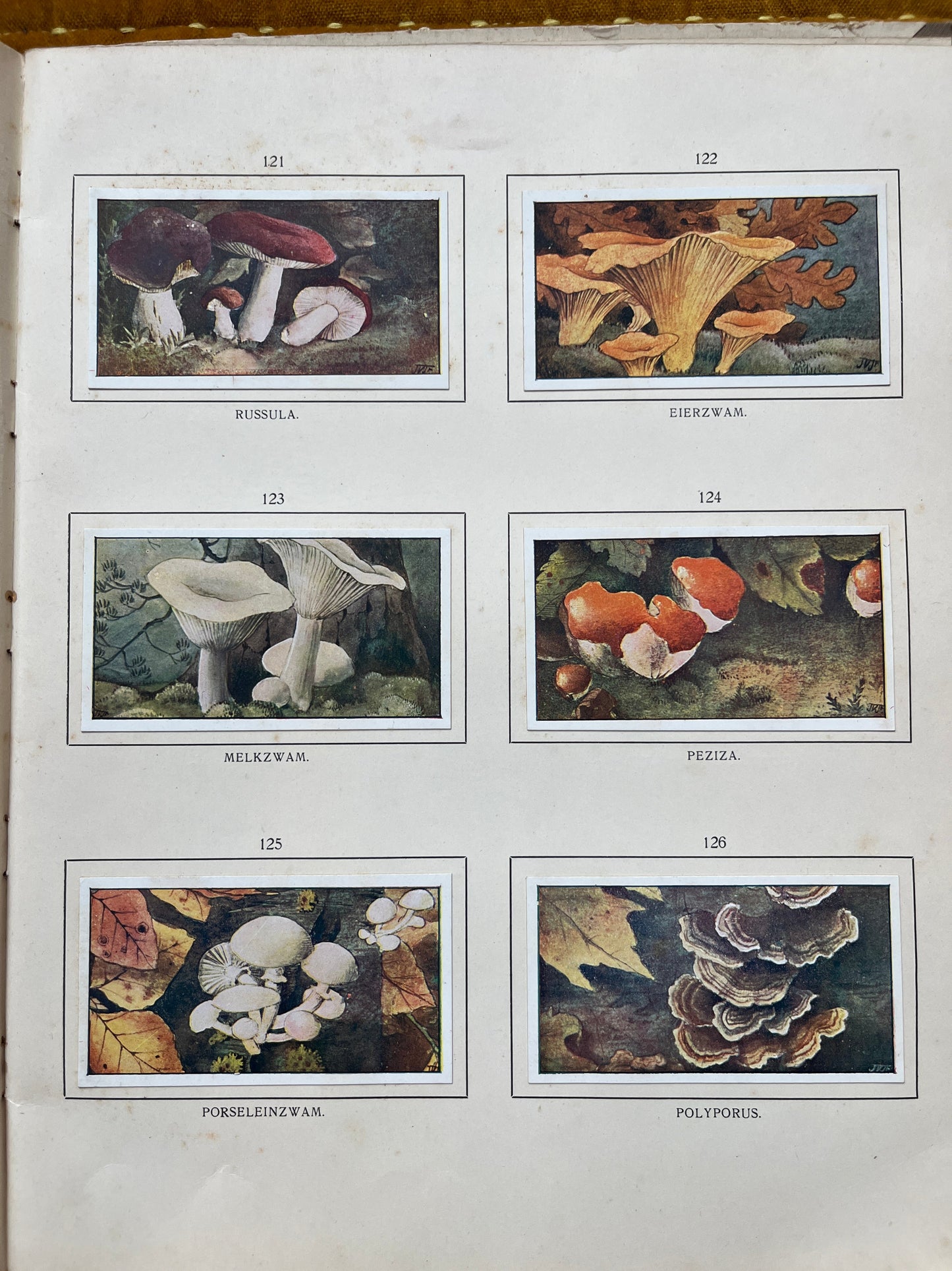 Losse Verkade plaatjes Herfst (1908) 121-126