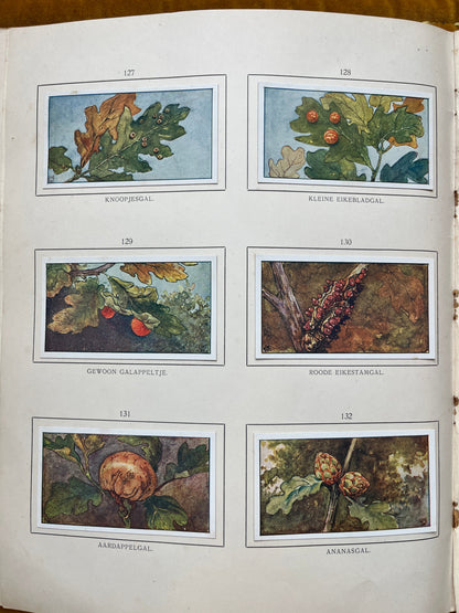 Losse Verkade plaatjes Herfst (1908) 127-132