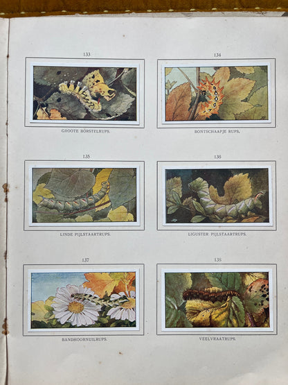 Losse Verkade plaatjes Herfst (1908) 133-138