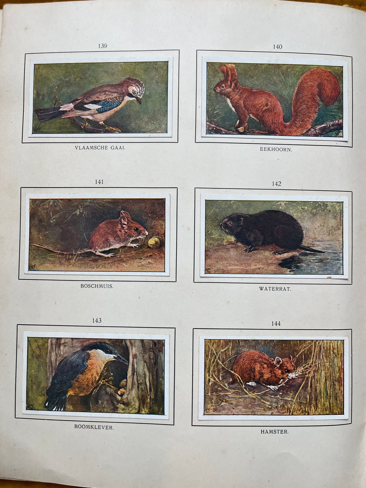 Loose Verkade pictures Autumn (1908) 139-144