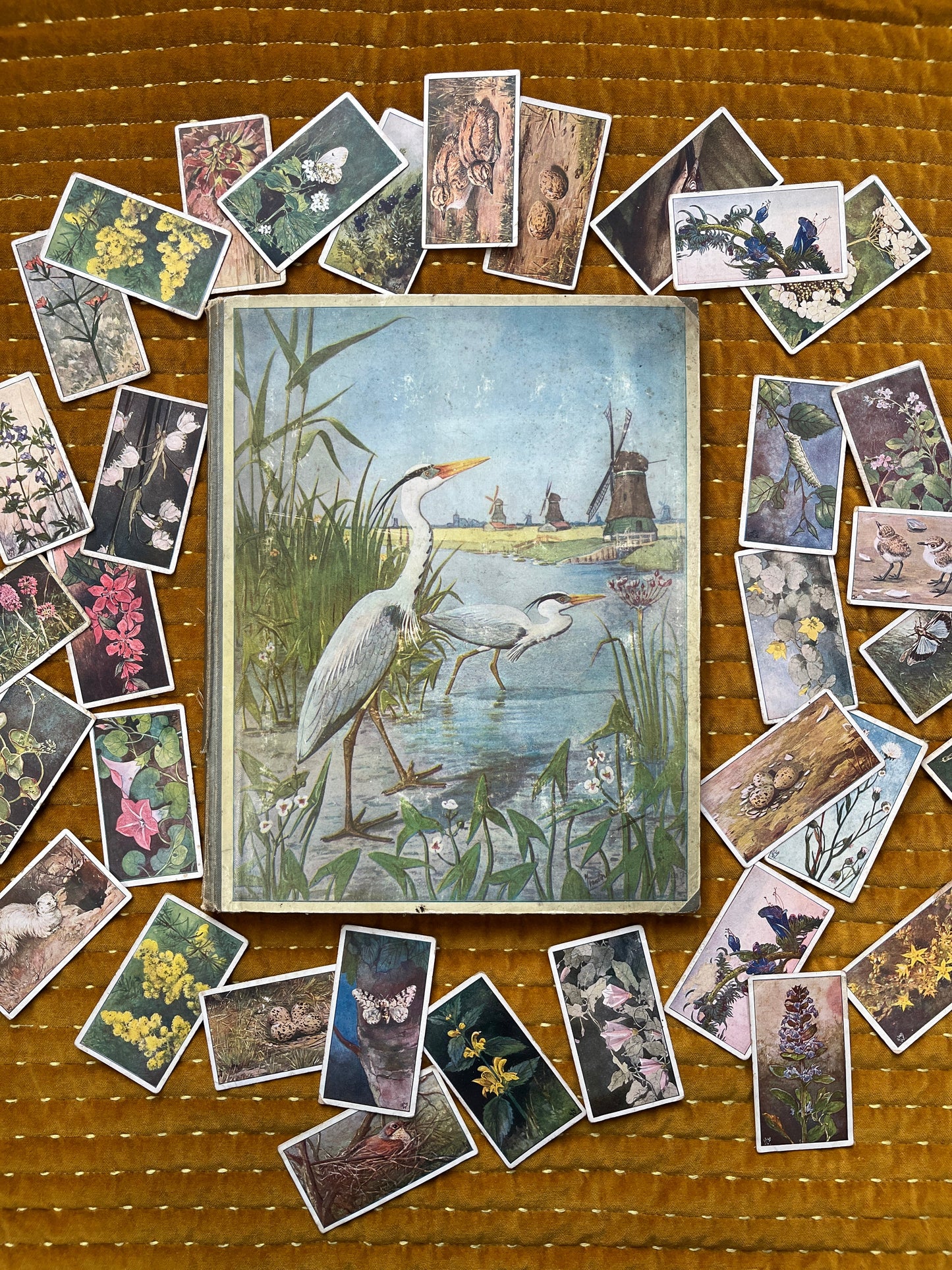 Losse Verkade plaatjes Lente (1906) 25-29