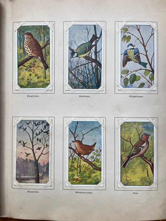 Losse Verkade plaatjes Lente (1906) 1-6