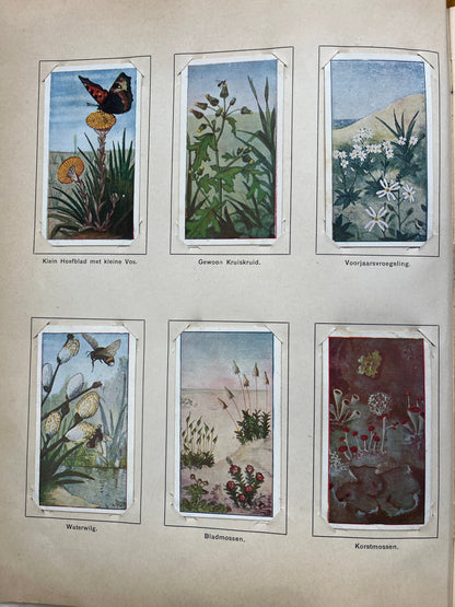 Loose Verkade pictures Spring (1906) 7-12