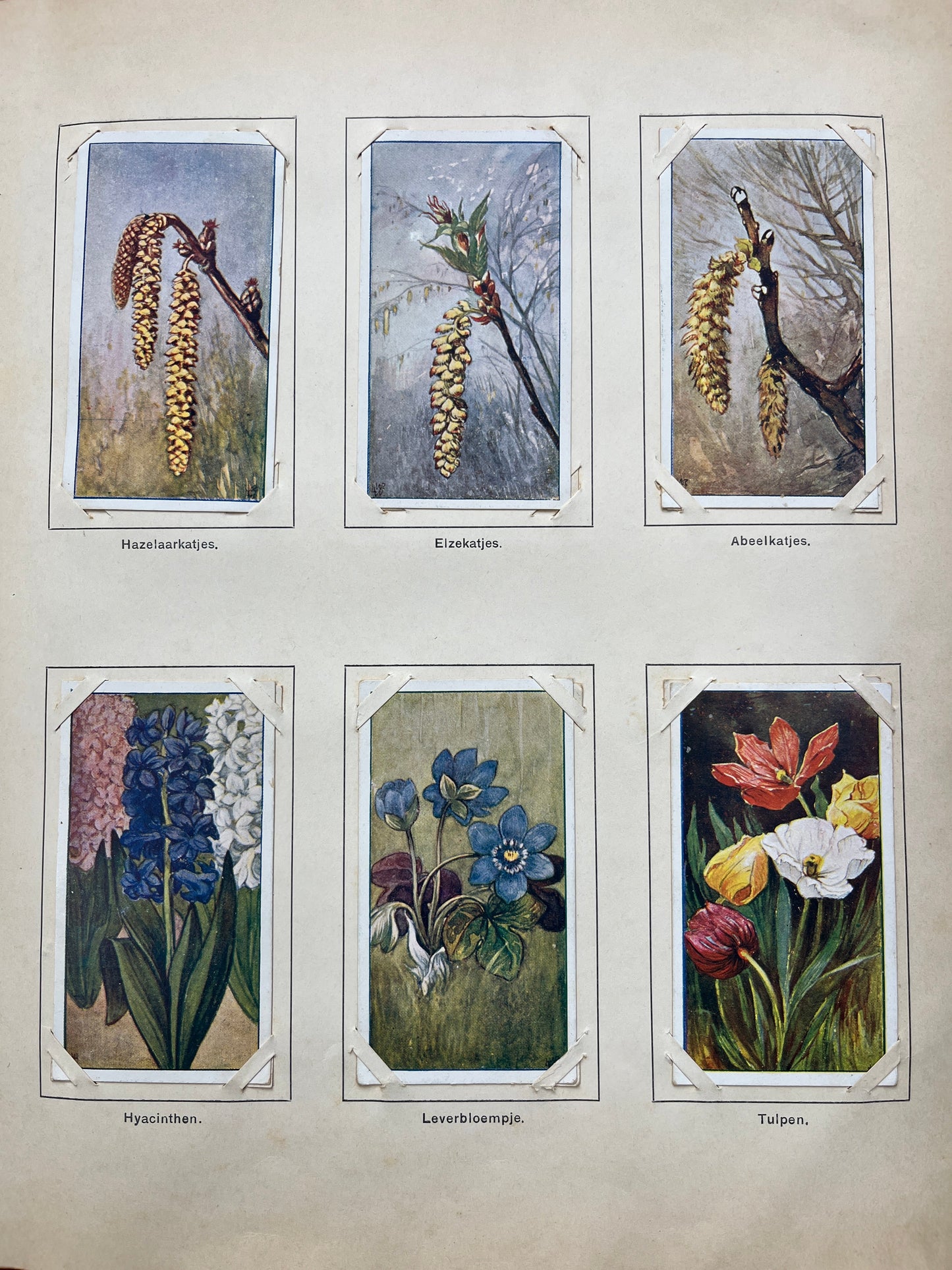 Losse Verkade plaatjes Lente (1906) 13-18