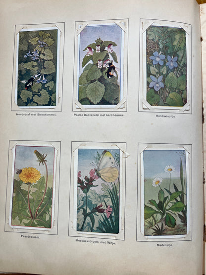 Loose Verkade pictures Spring (1906) 19-24