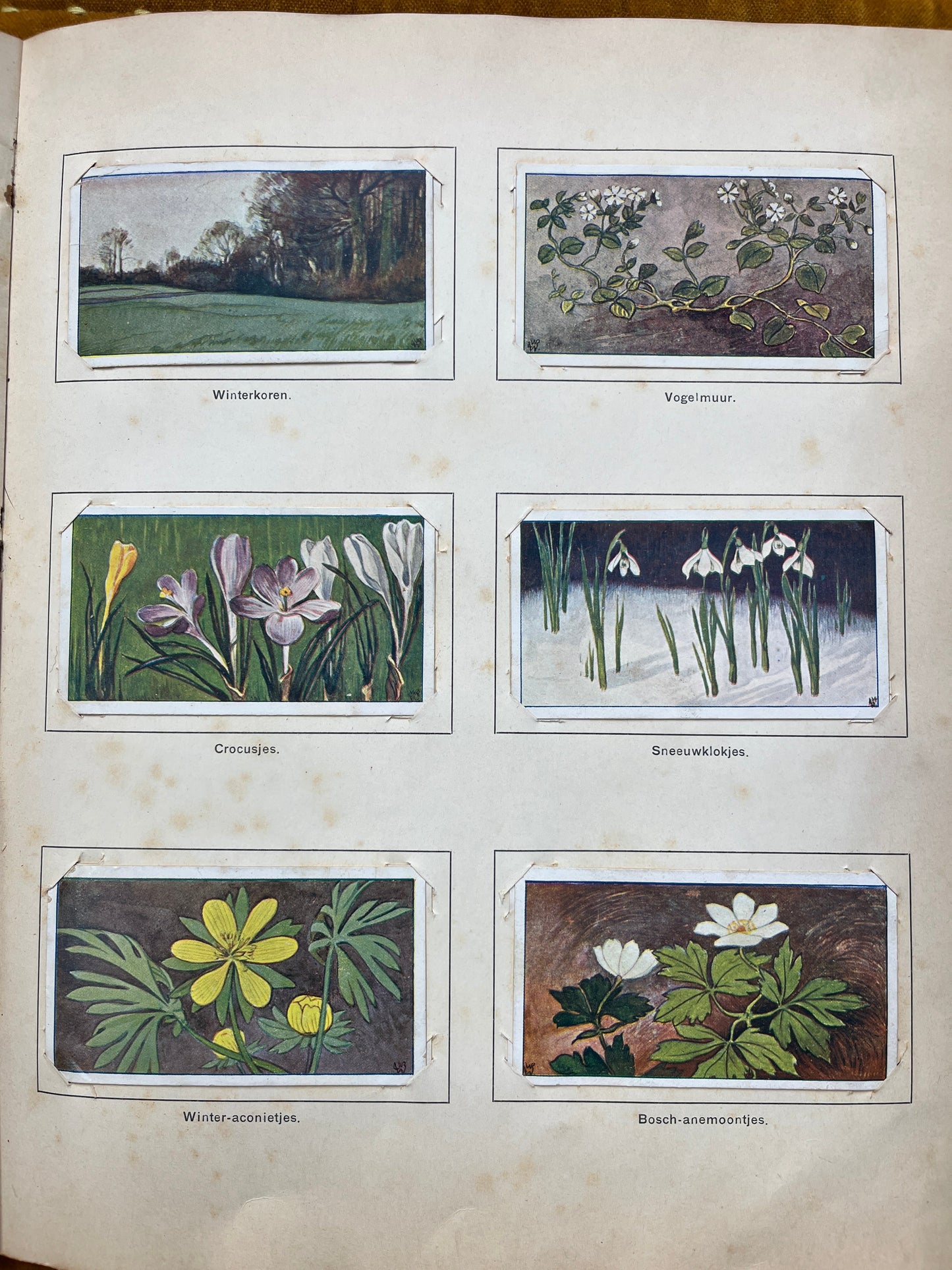 Losse Verkade plaatjes Lente (1906) 25-29