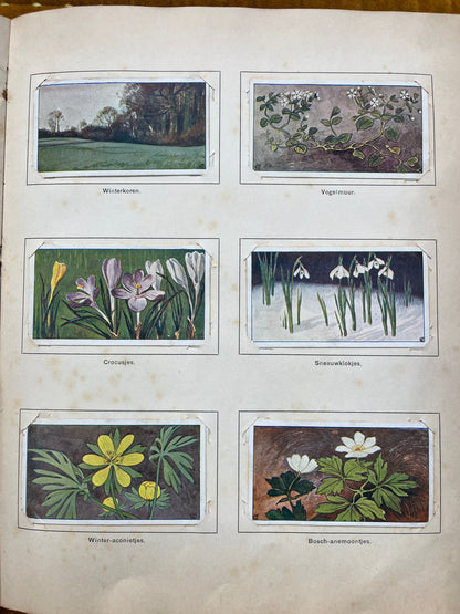 Losse Verkade plaatjes Lente (1906) 25-29