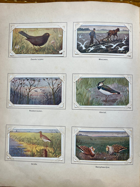 Losse Verkade plaatjes Lente (1906) 31-36