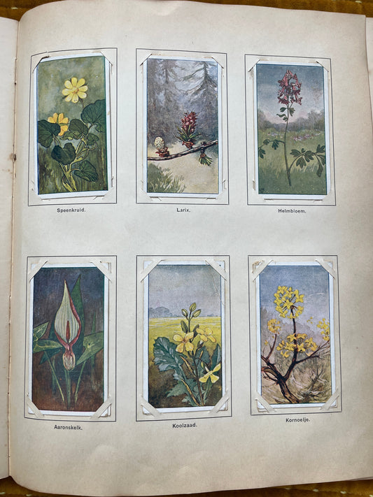 Losse Verkade plaatjes Lente (1906) 37-42