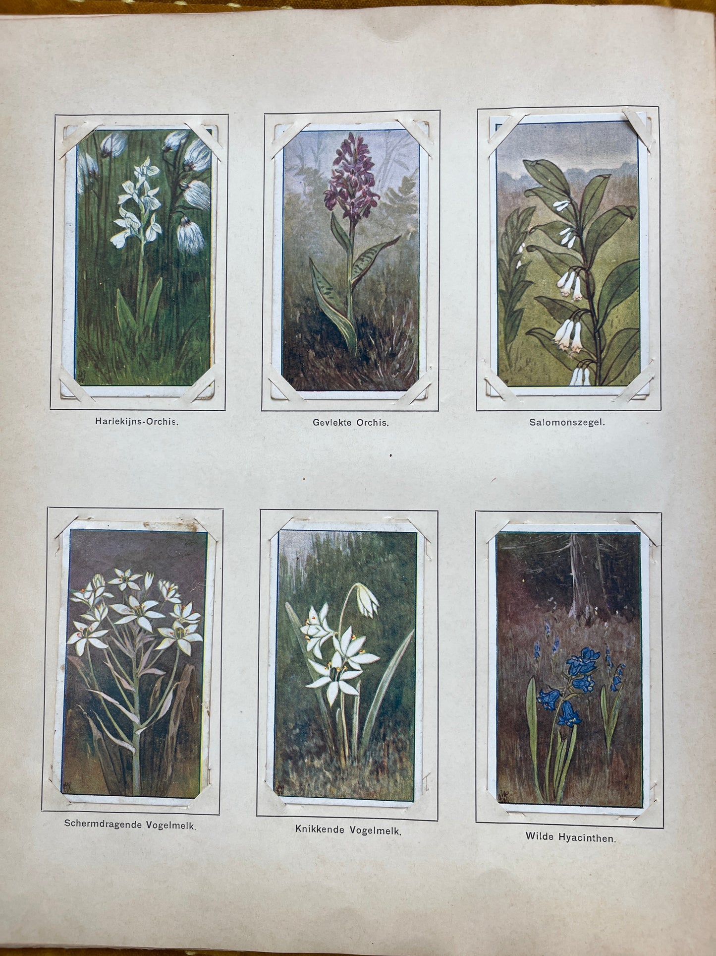 Losse Verkade plaatjes Lente (1906) 43-48