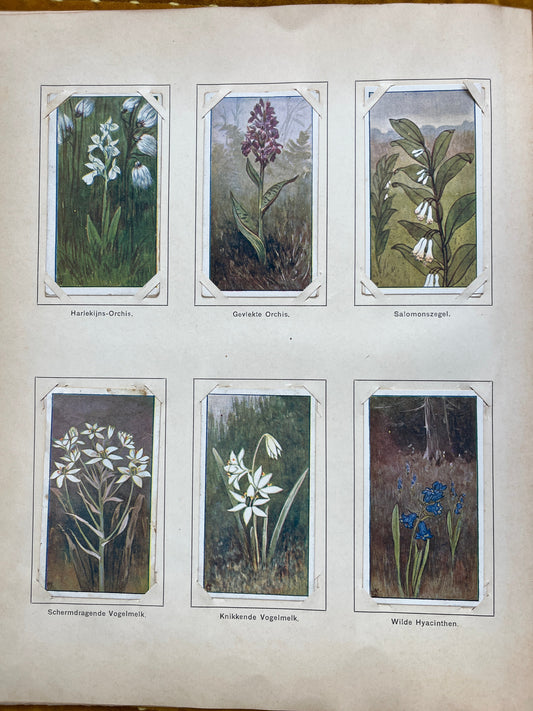 Losse Verkade plaatjes Lente (1906) 43-48