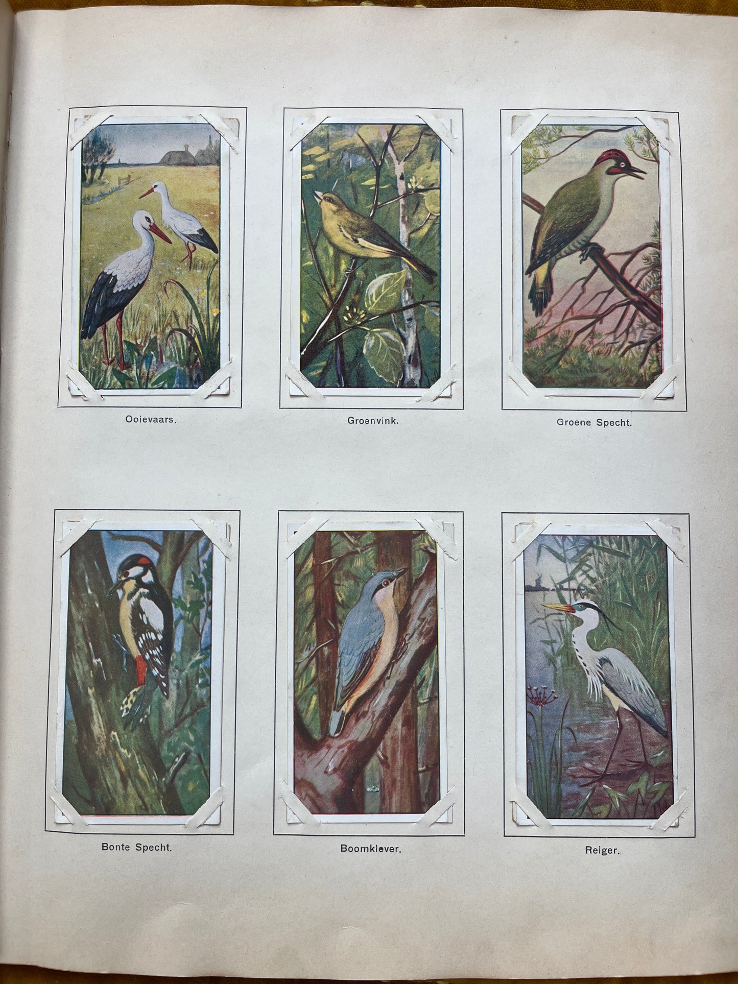 Loose Verkade pictures Spring (1906) 49-54