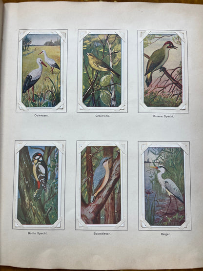 Loose Verkade pictures Spring (1906) 49-54