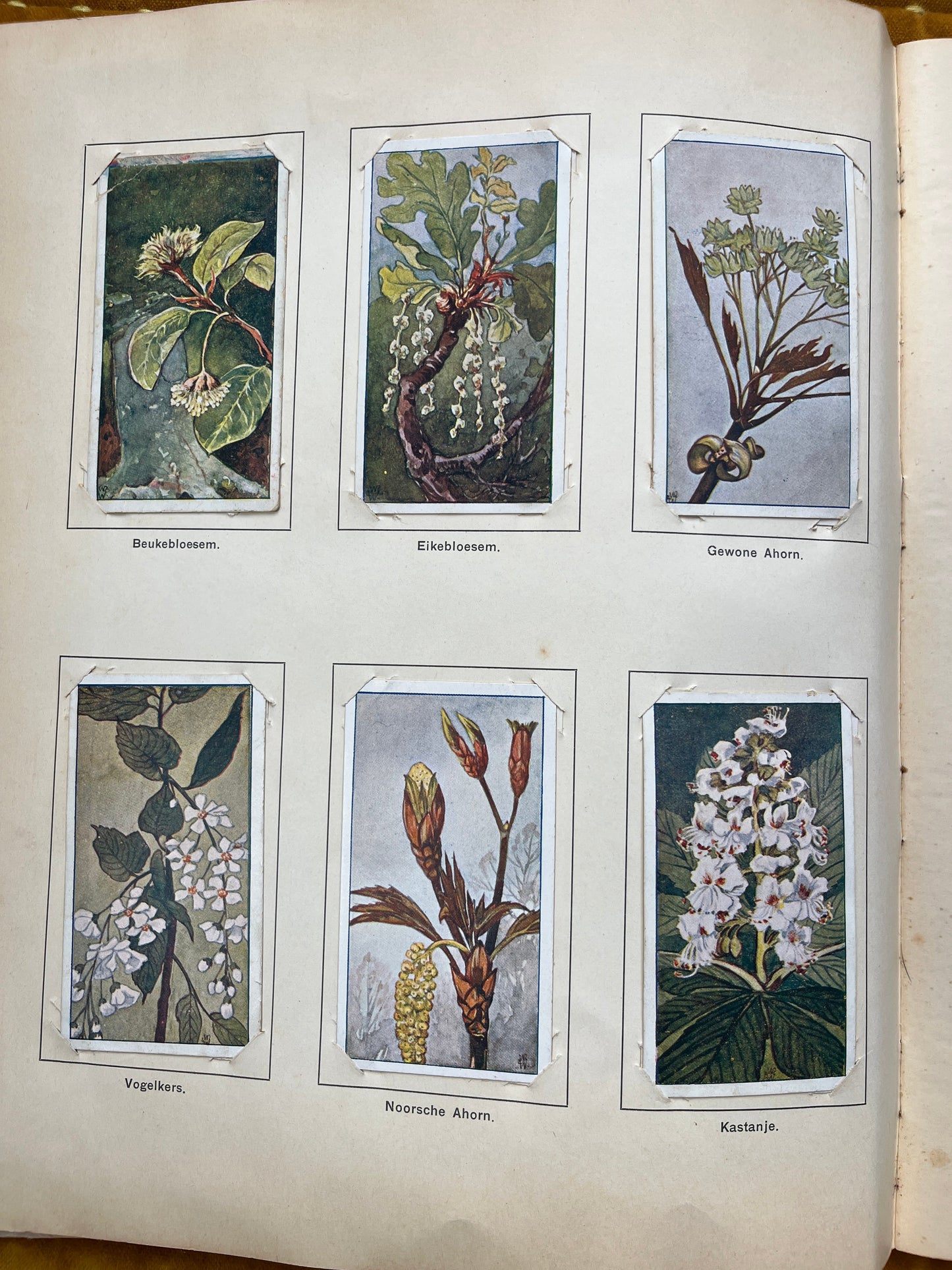 Losse Verkade plaatjes Lente (1906) 55-60