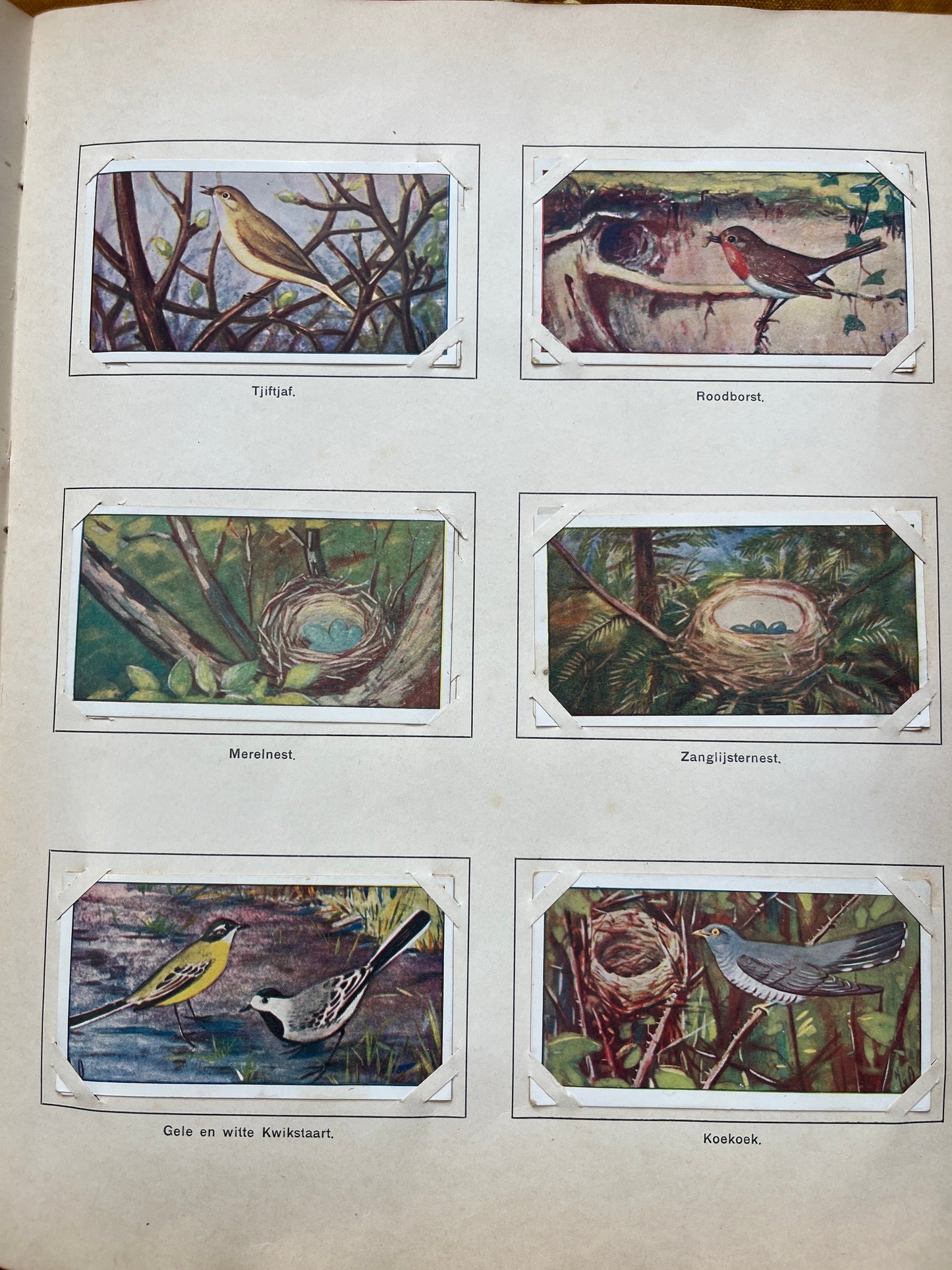 Loose Verkade pictures Spring (1906) 61-66