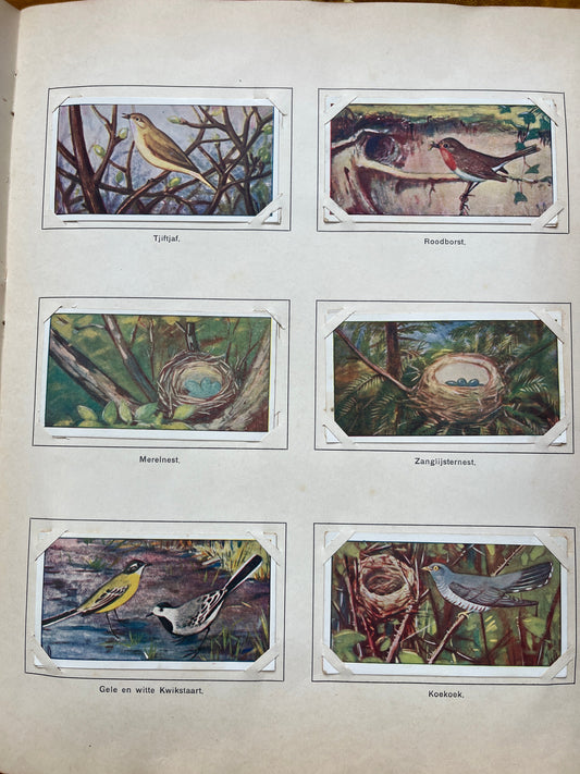 Losse Verkade plaatjes Lente (1906) 61-66