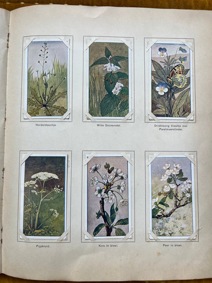 Losse Verkade plaatjes Lente (1906) 73-78