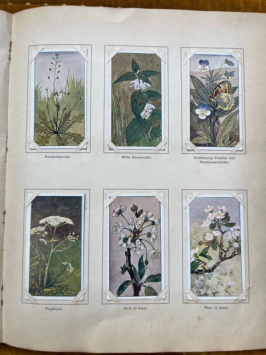 Losse Verkade plaatjes Lente (1906) 73-78