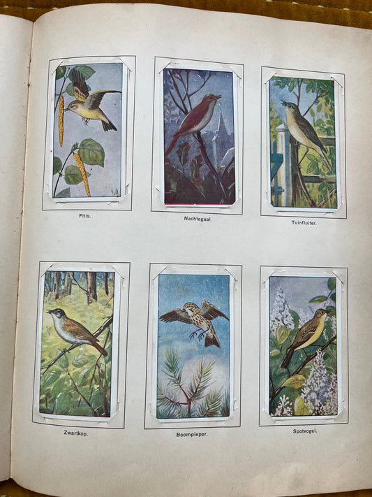 Losse Verkade plaatjes Lente (1906) 85-90