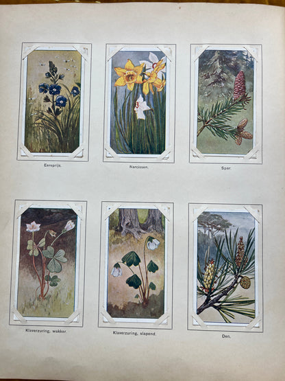 Losse Verkade plaatjes Lente (1906) 91-96