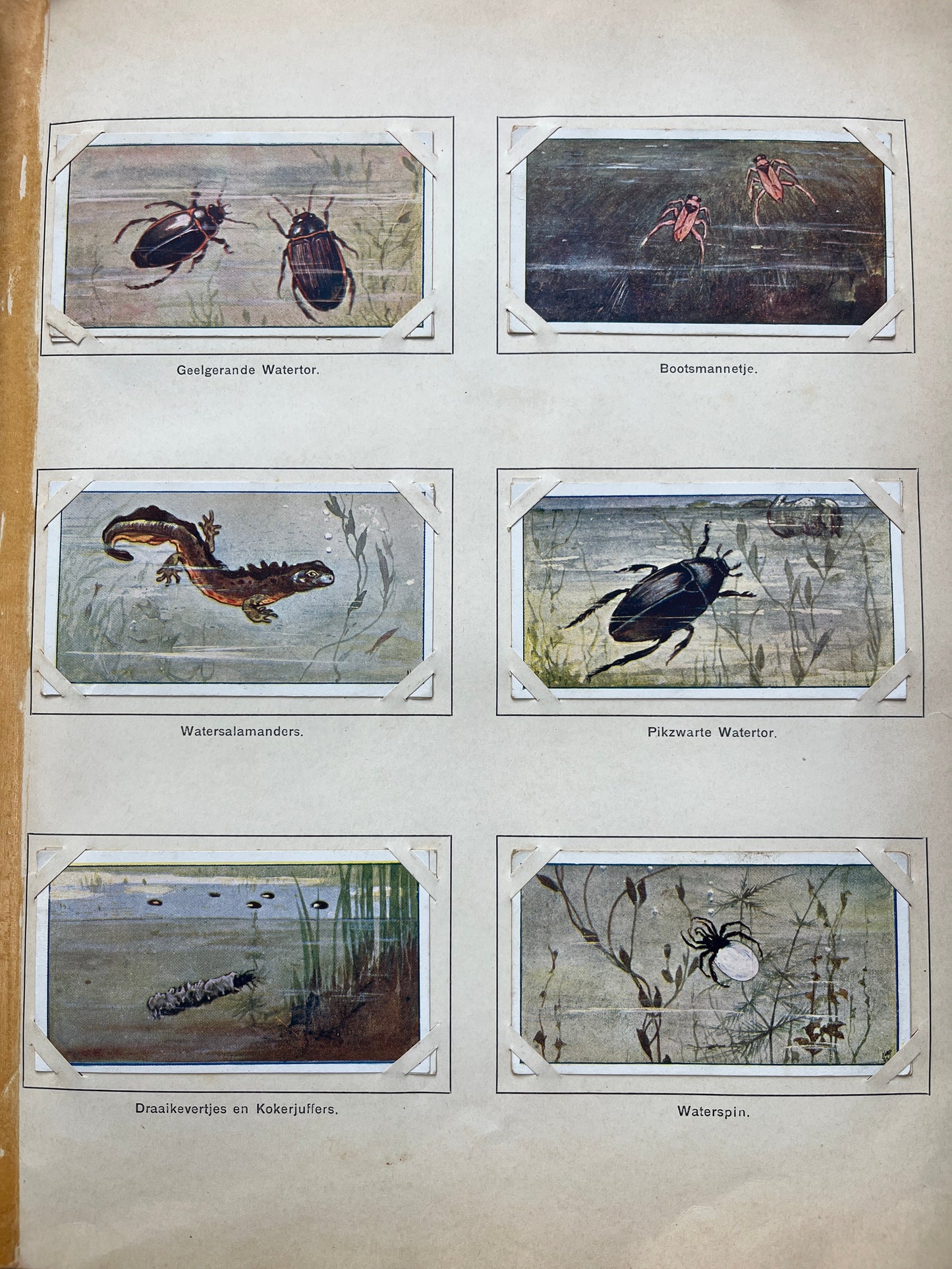 Loose Verkade pictures Spring (1906) 97-102