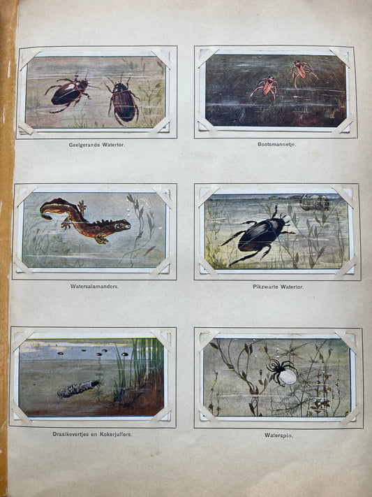 Losse Verkade plaatjes Lente (1906) 97-102