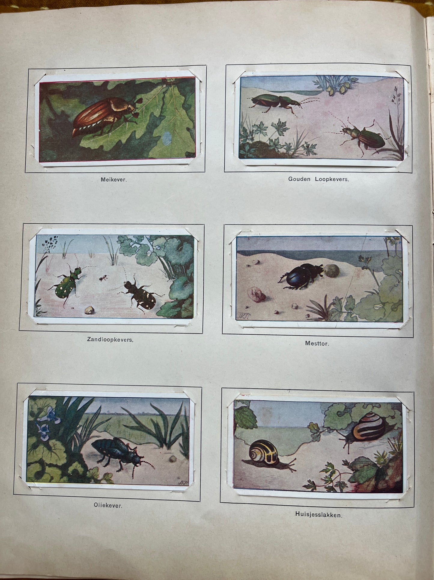 Losse Verkade plaatjes Lente (1906) 103-108