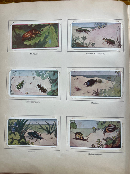 Losse Verkade plaatjes Lente (1906) 103-108