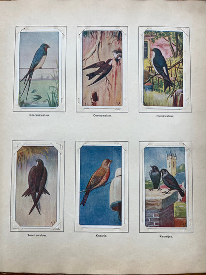 Loose Verkade pictures Spring (1906) 109-114