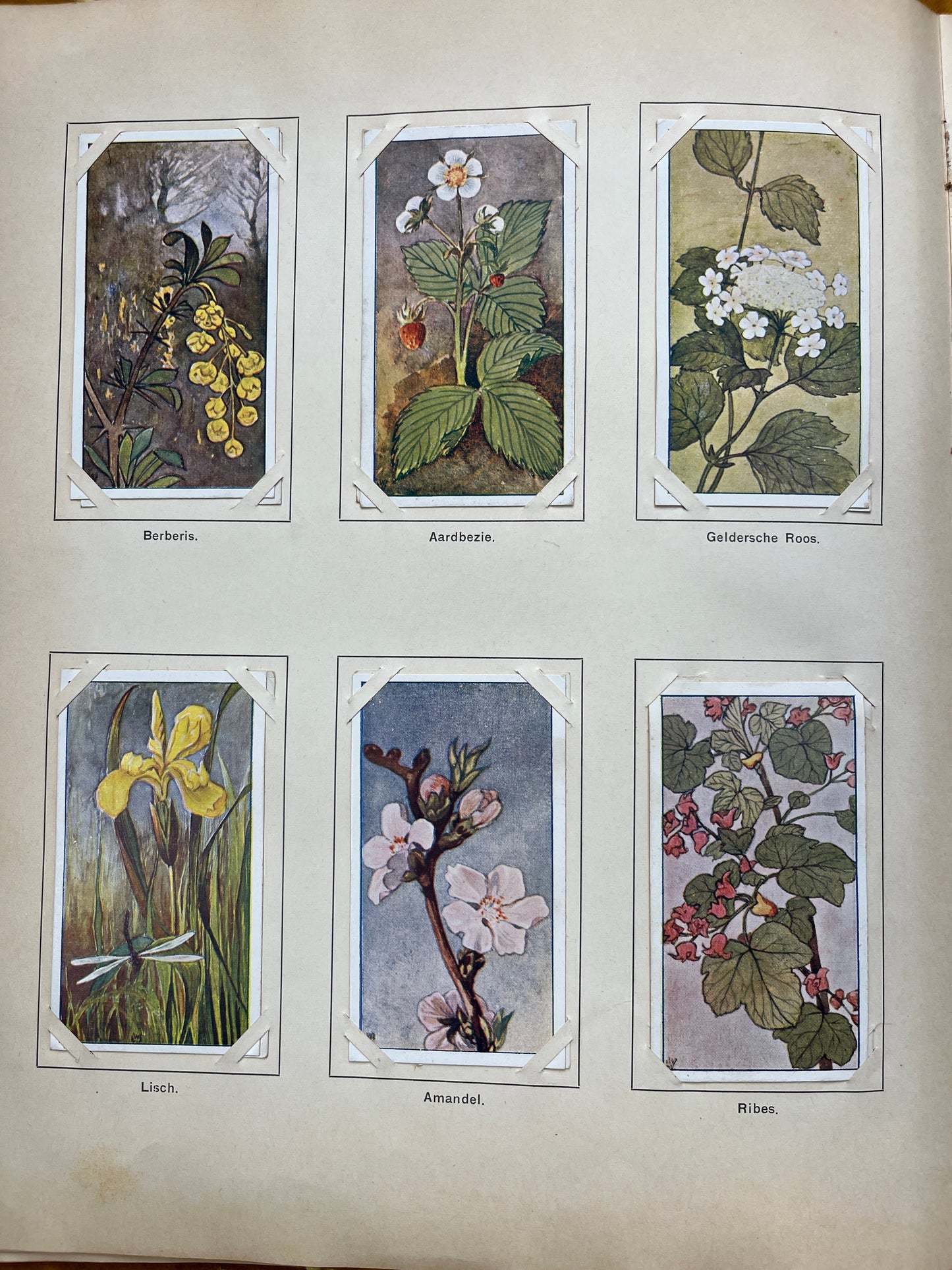 Loose Verkade pictures Spring (1906) 115-120