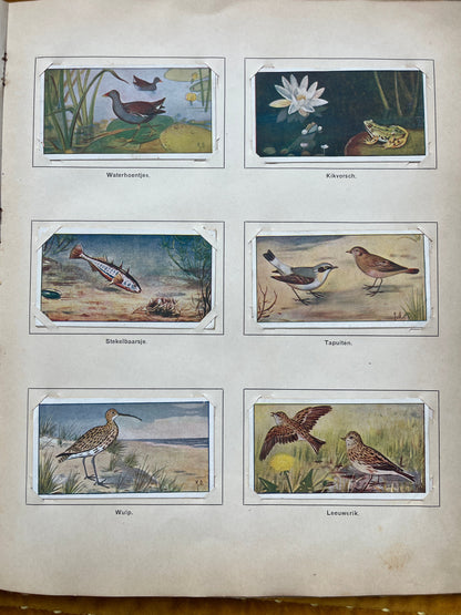 Losse Verkade plaatjes Lente (1906) 121-126