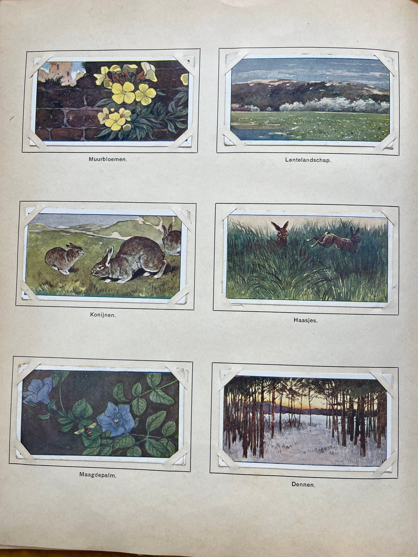 Loose Verkade pictures Spring (1906) 127-132