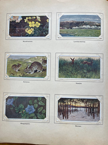 Loose Verkade pictures Spring (1906) 127-132