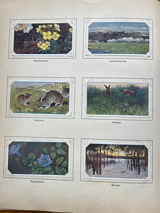 Losse Verkade plaatjes Lente (1906) 127-132