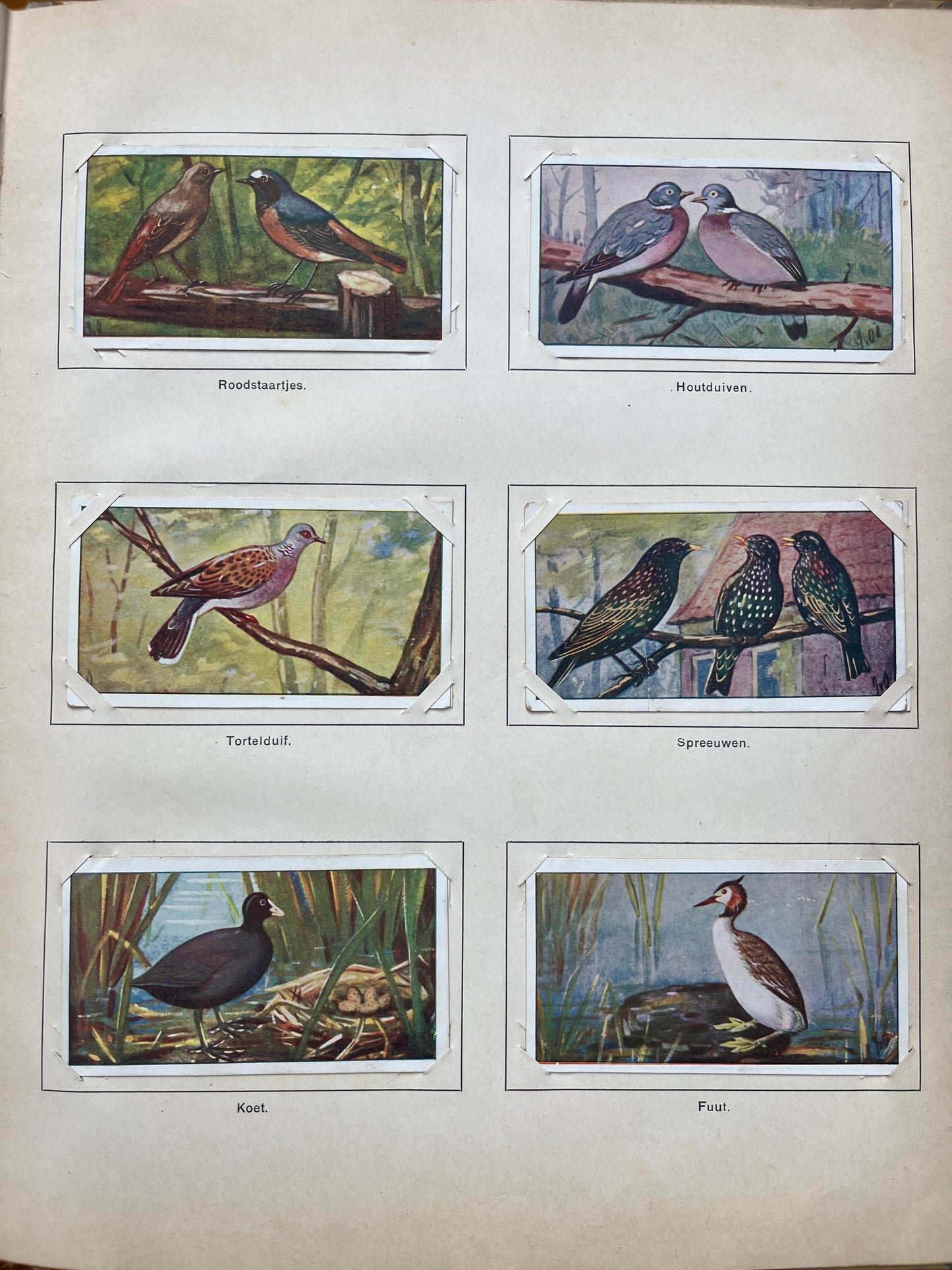 Losse Verkade plaatjes Lente (1906) 133-138