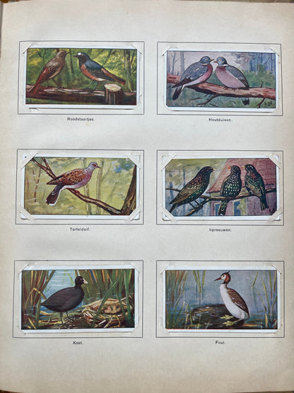 Losse Verkade plaatjes Lente (1906) 133-138