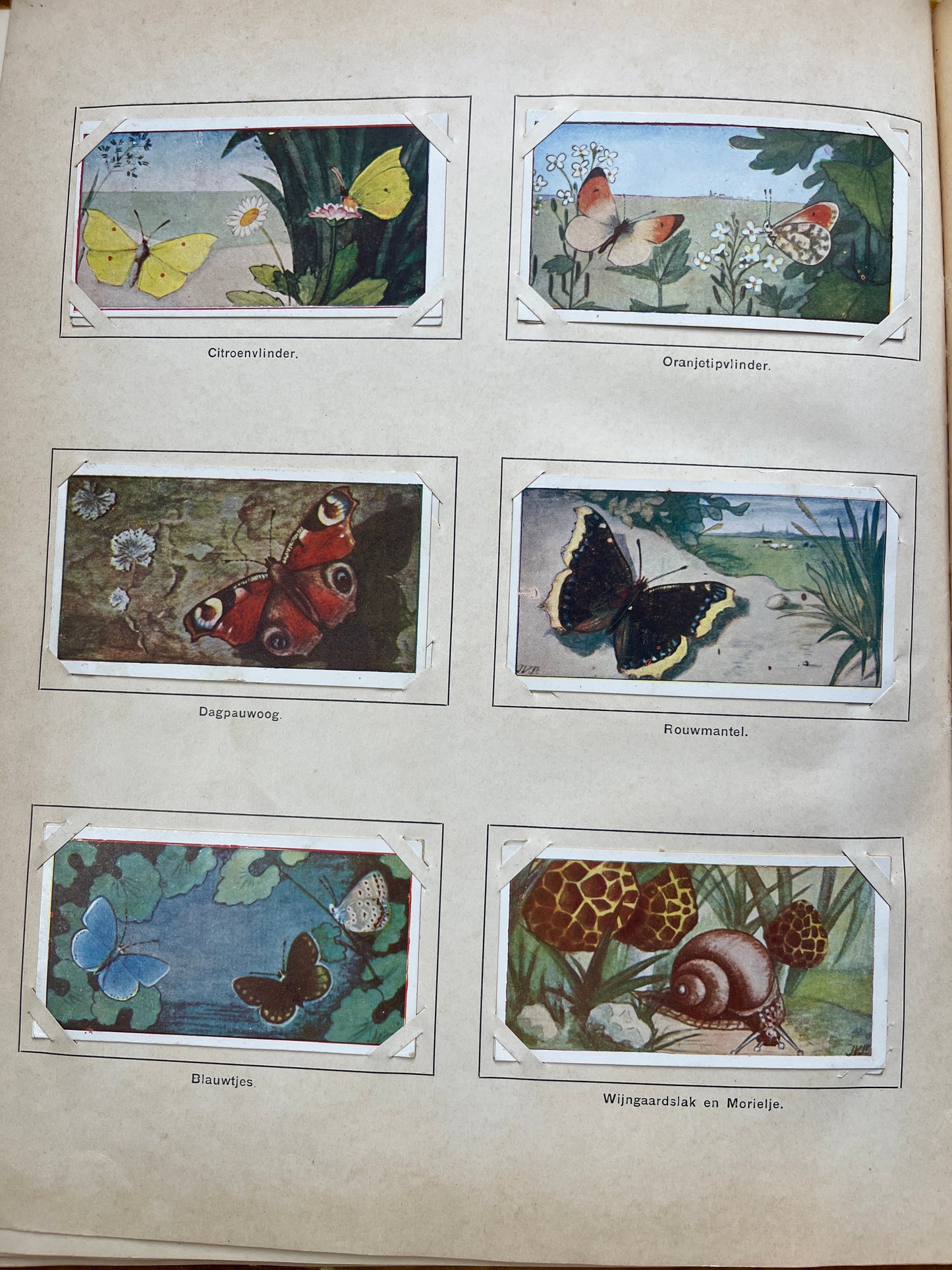 Losse Verkade plaatjes Lente (1906) 139-144