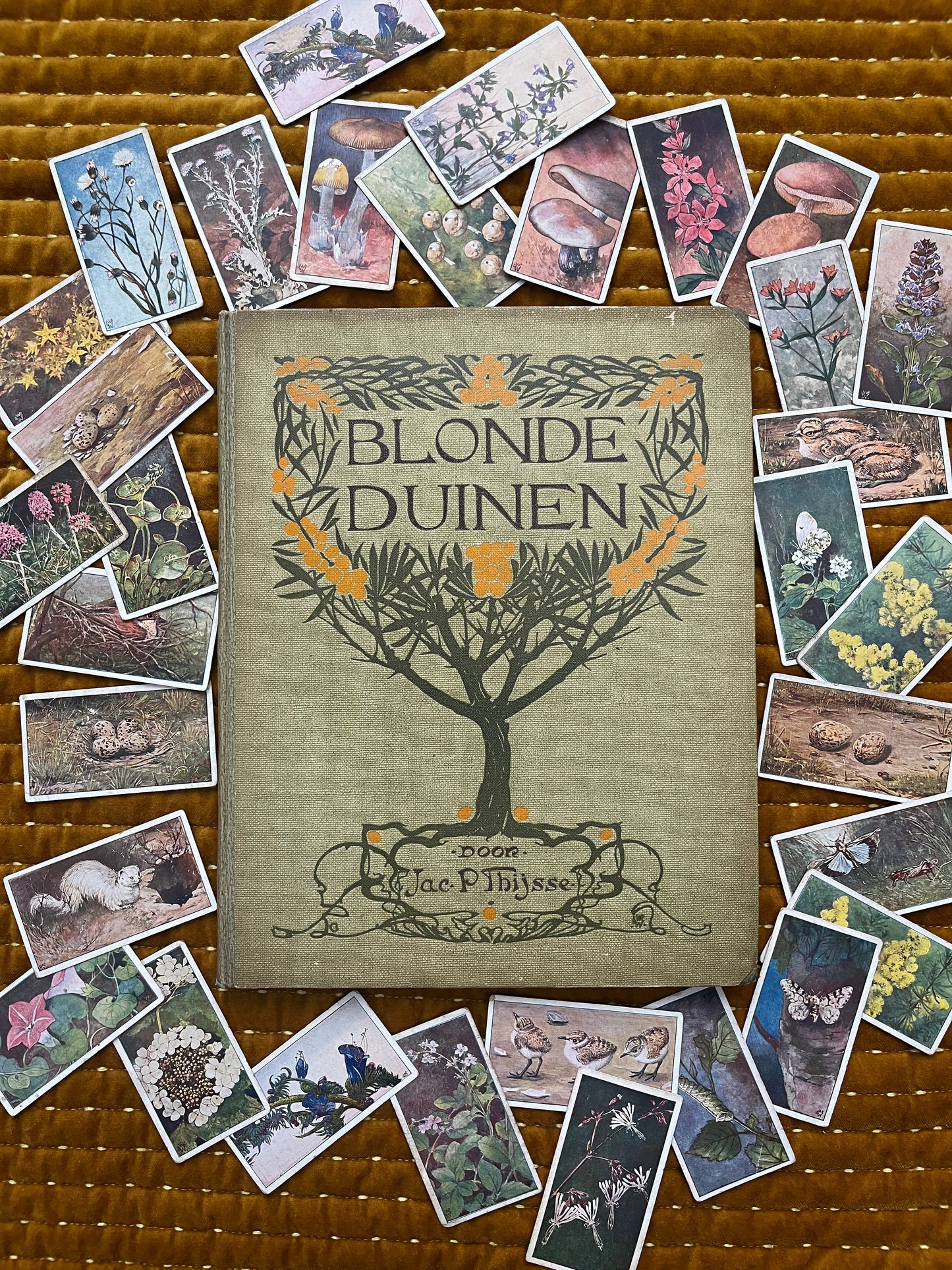 Losse Verkade plaatjes Blonde Duinen (1910) 109-114