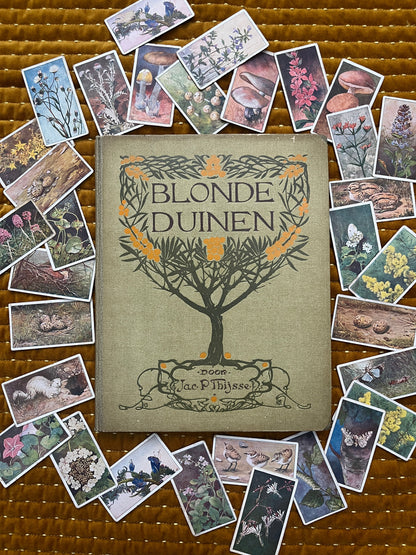 Losse Verkade plaatjes Blonde Duinen (1910) 55-60