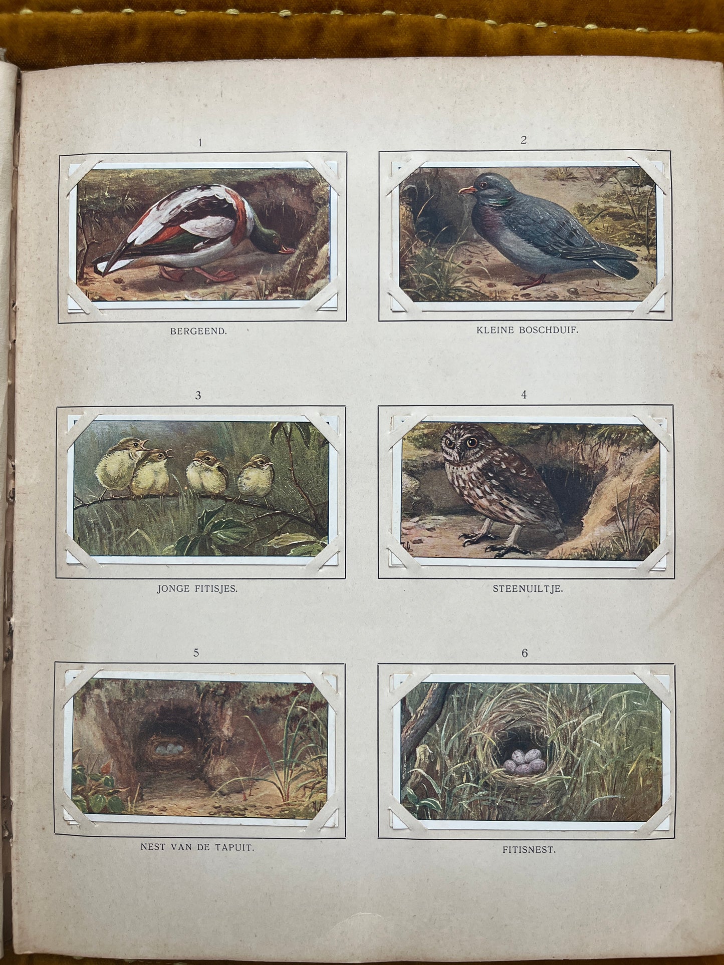 Losse Verkade plaatjes Blonde Duinen (1910) 1-6