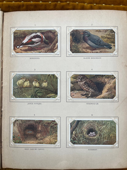 Losse Verkade plaatjes Blonde Duinen (1910) 1-6