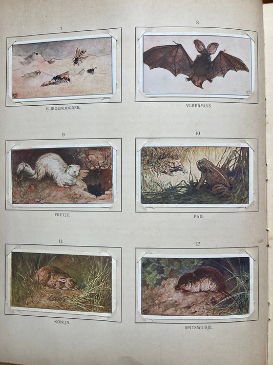 Losse Verkade plaatjes Blonde Duinen (1910) 7-12