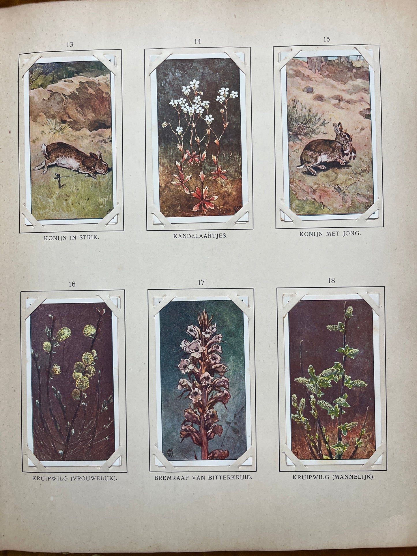 Losse Verkade plaatjes Blonde Duinen (1910) 13-18