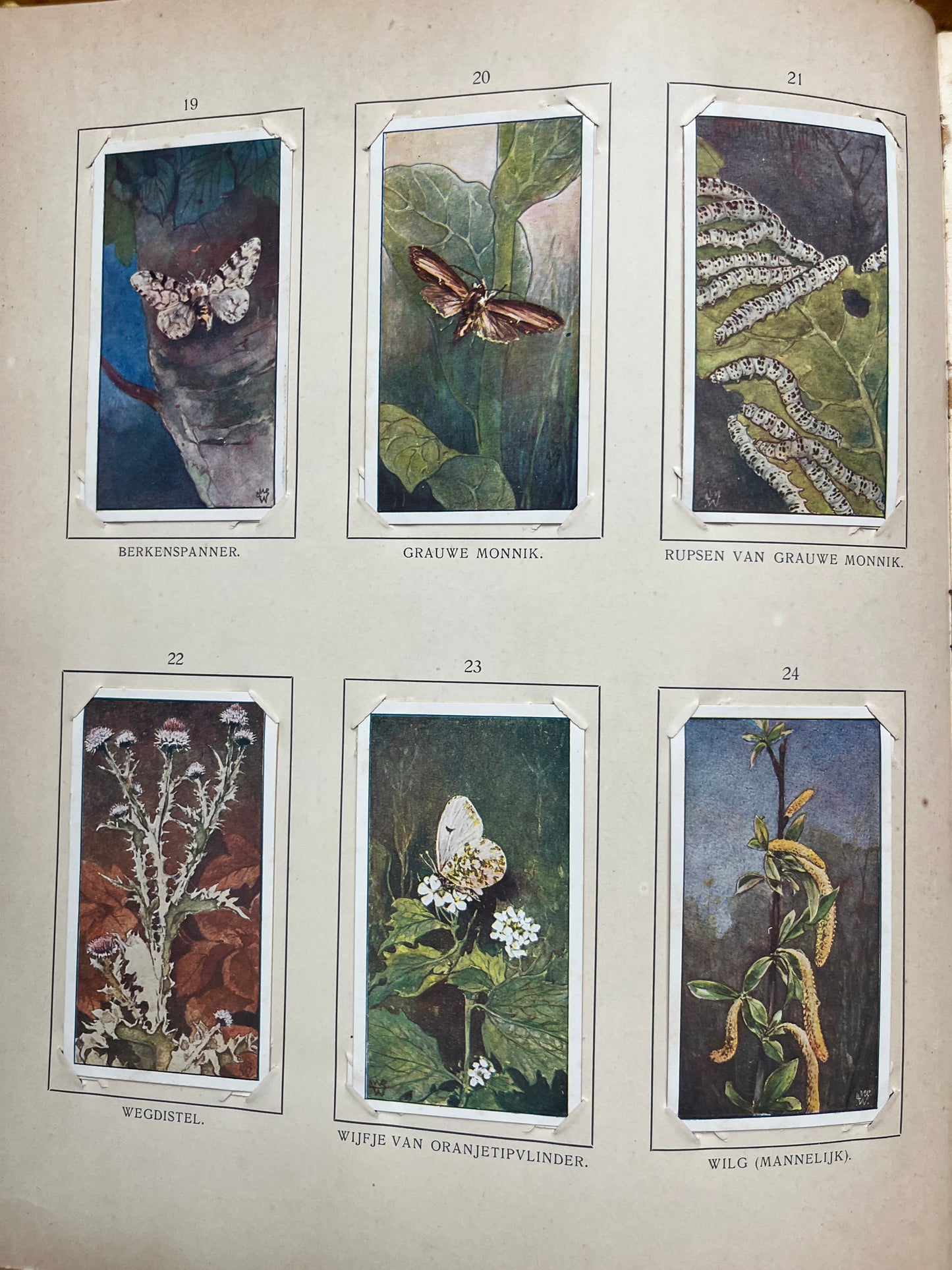 Losse Verkade plaatjes Blonde Duinen (1910) 19-24