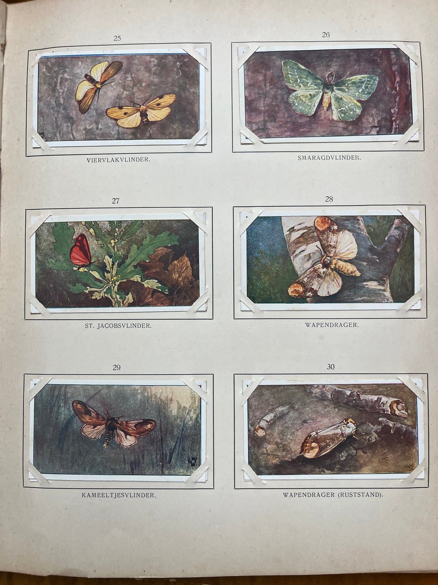 Losse Verkade plaatjes Blonde Duinen (1910) 25-29